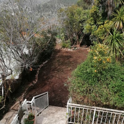 גינה נקייה, גזומה ודשא שנשתל