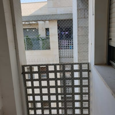 רשת מתכת ומחטי דוקרנים למניעת כניסת יונים