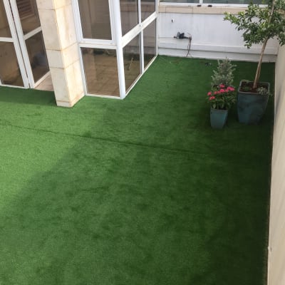 עציצים עם פרחים ועץ על דשא סינתטי