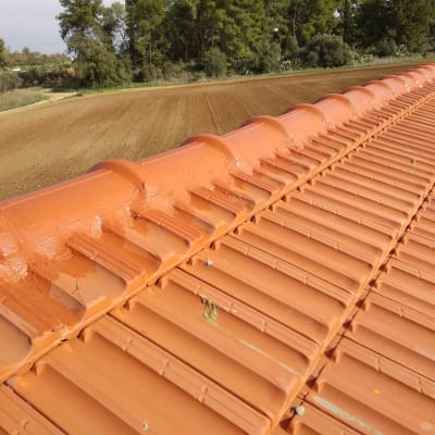 רעפים כתומים על גג עם קו רכס מרכזי