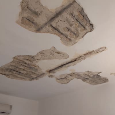 תקרה עם קילופי צבע וחשיפת בטון