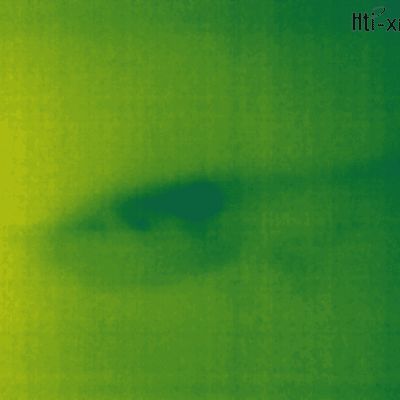 תמונה תרמית עם אזור כהה במרכז