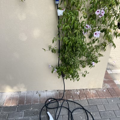 שקע חשמלי עם כבל טעינה לרכב חשמלי