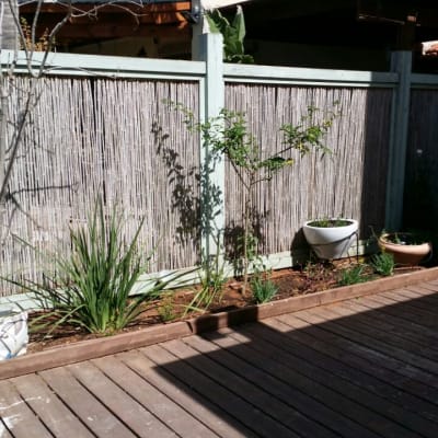 עציצים וצמחים בגינה ליד גדר עץ