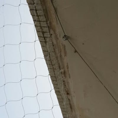 רשת מתוחה למניעת כניסת יונים