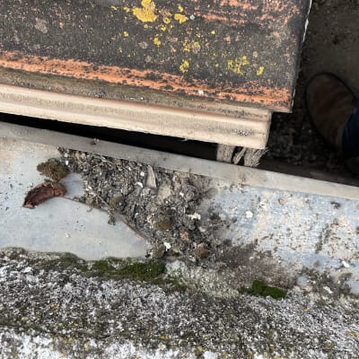 רעפים עם טחב ופסולת על גג