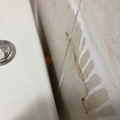 מיכל הדחה עם כפתור על קיר אריחים