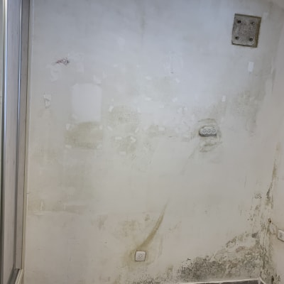 ממד לפני טיפול