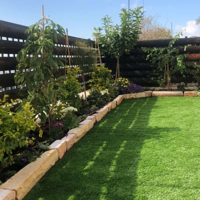 צמחים ופרחים בגינה עם דשא מלאכותי