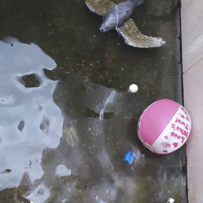 מים עומדים עם צעצועים וצינור