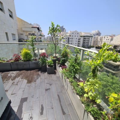 מרפסת עם עציצים וצמחים ירוקים ופורחים