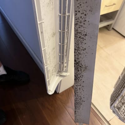 חלקי מזגן עם עובש ולכלוך נראים בתמונה