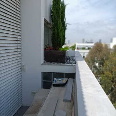 עציץ עם עץ ירוק ופרחים על מרפסת