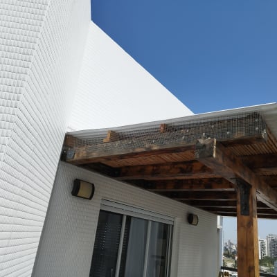 רשת מתכת מותקנת על פרגולה מעץ למניעת יונים