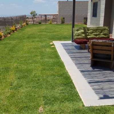 דשא ירוק עם שיחים לאורך הגדר