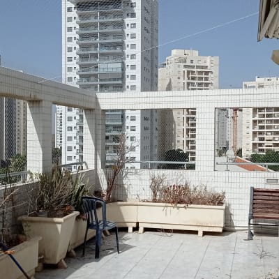 רשת נגד יונים על מרפסת עם עציצים וכיסאות