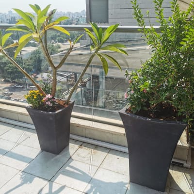 עציצים עם צמחים ירוקים ופרחים במרפסת