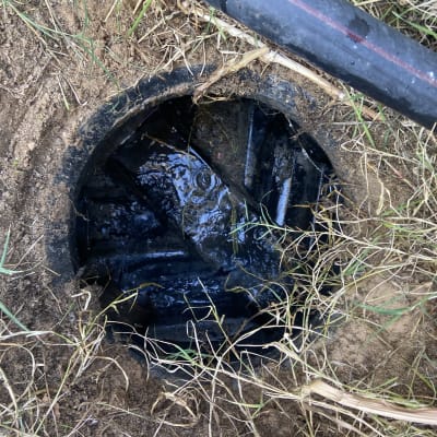 פתח ביוב עם צינור שחור ועשב סביבו