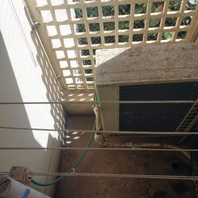 רשת למניעת כניסת יונים על גדר עץ