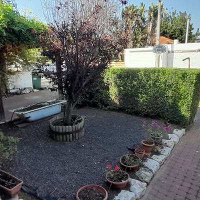 עציצים עם פרחים, שיחים וגדר חיה בגינה