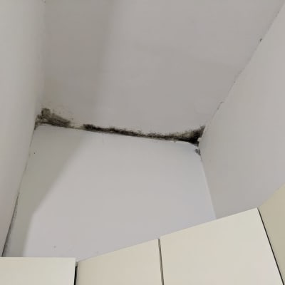 פינה עם קיר לבן וכתמי עובש כהים