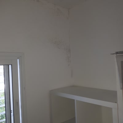 קיר עם כתמי עובש בפינה עליונה