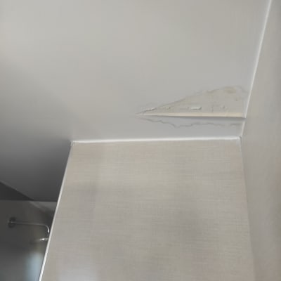 תקרה עם קילוף צבע ופגמים