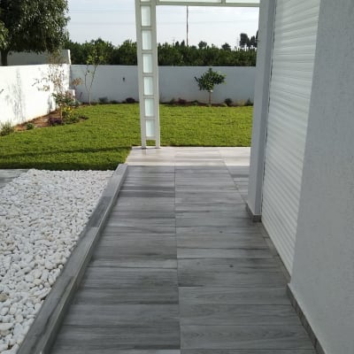 דשא ירוק ועצים קטנים בגינה מטופחת