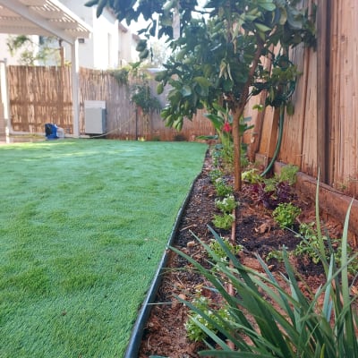 צינור השקיה, דשא סינתטי, שתילים, עץ, גדר עץ