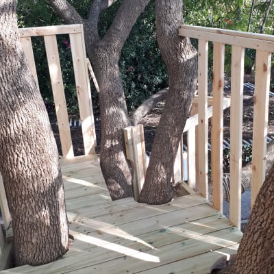 דק עץ עם מעקה סביב עצים בגינה