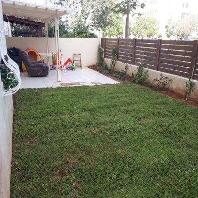 דשא ירוק, גדר עץ, שתילים לאורך הגדר