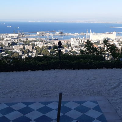 שביל חצץ עם צמחייה מסביב