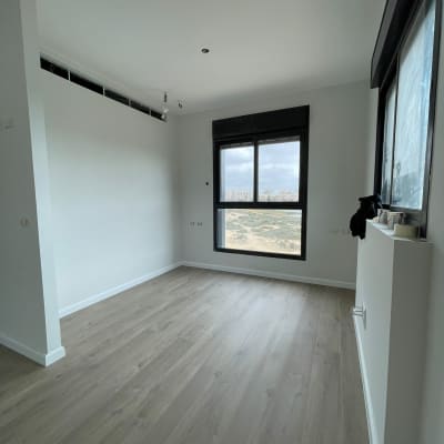 חדר ריק עם רצפת עץ חדשה ותקרה צבועה