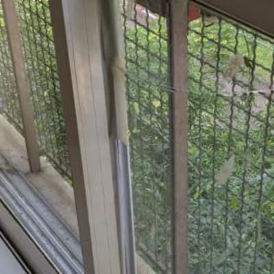 חלון זכוכית עם מסגרת מתכת וגדר ברקע