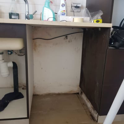 מוצרי ניקוי על השיש ליד כיור מטבח