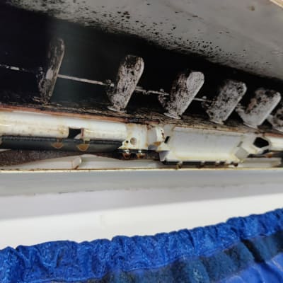 מזגן עם לכלוך ועובש על התריסים הפנימיים