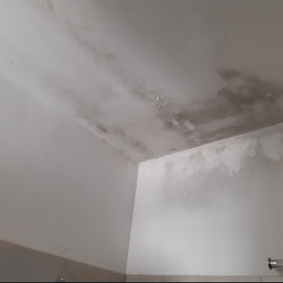 כתמי רטיבות ועובש על תקרה לבנה