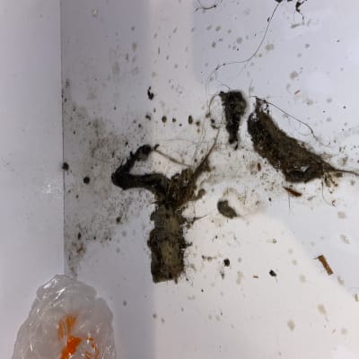 לכלוך ושיער סתום בצינור ביוב