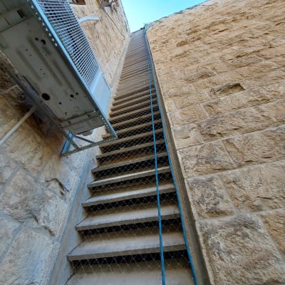 רשת על מדרגות למניעת כניסת יונים