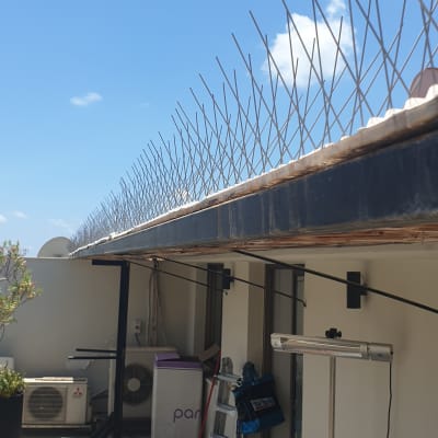 דוקרנים על גג למניעת נחיתת יונים