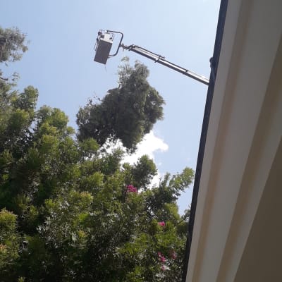 מנוף גיזום עץ גבוה בשטח פתוח