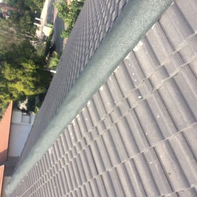 רעפים אפורים על גג עם פס ירוק במרכז