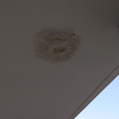 כתם רטיבות בתקרה לבנה