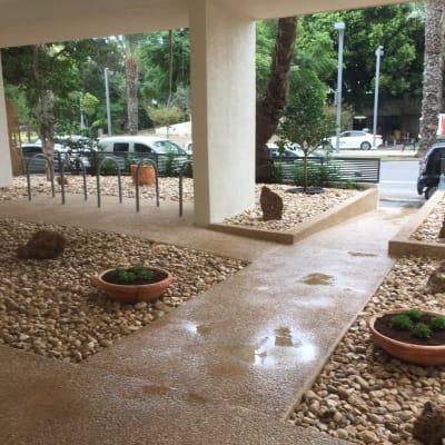 עציצים עם צמחים קטנים על חצץ בגינה