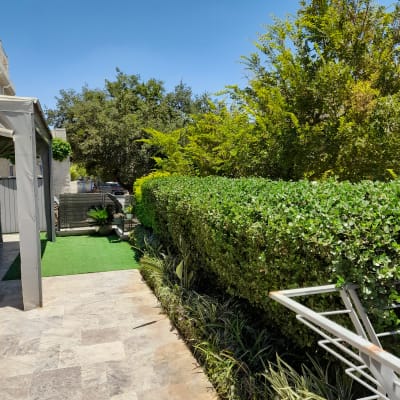 שיחים ירוקים וגדר חיה בגינה מטופחת