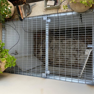 סורג מתכת על פתח עם צמחייה מסביב