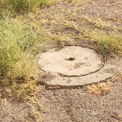 מכסה עגול על הקרקע עם עשב סביבו