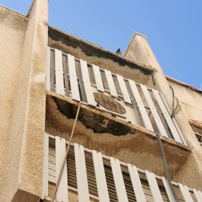 רשת מתכת ומחסומים למניעת כניסת יונים