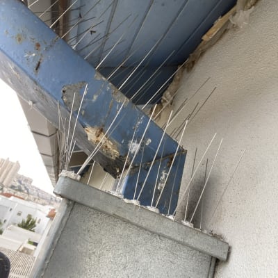 דוקרנים מתכתיים על גג למניעת ציפורים