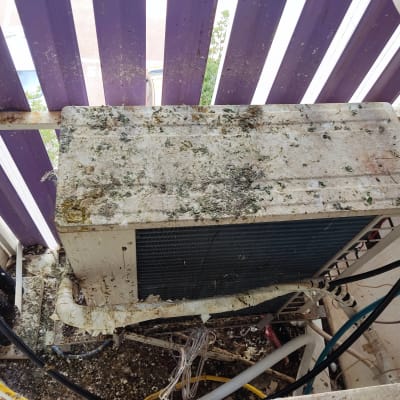 יחידת מיזוג אוויר מלוכלכת בצואת יונים